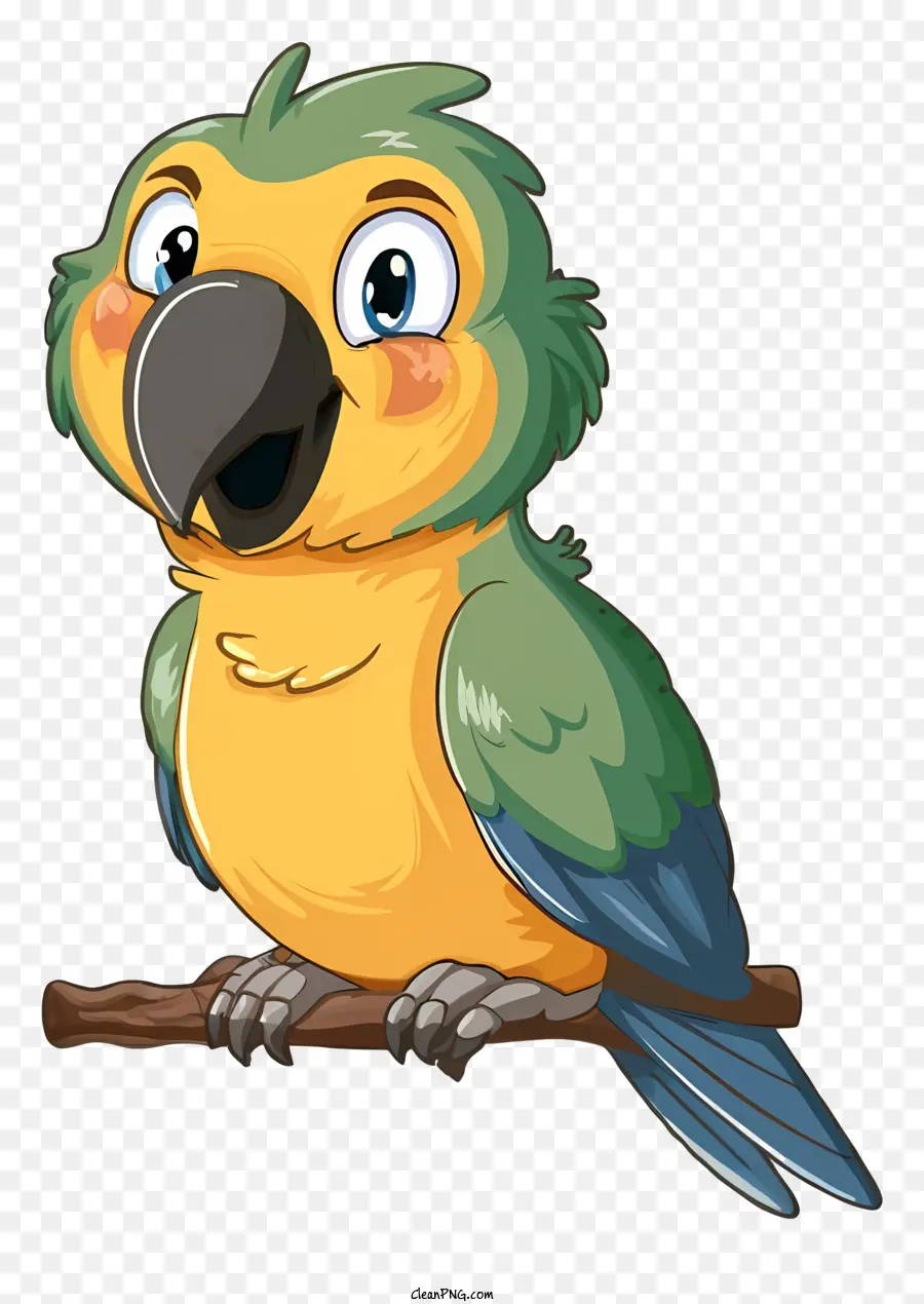 Papagaio Bonito，Cola Verde PNG