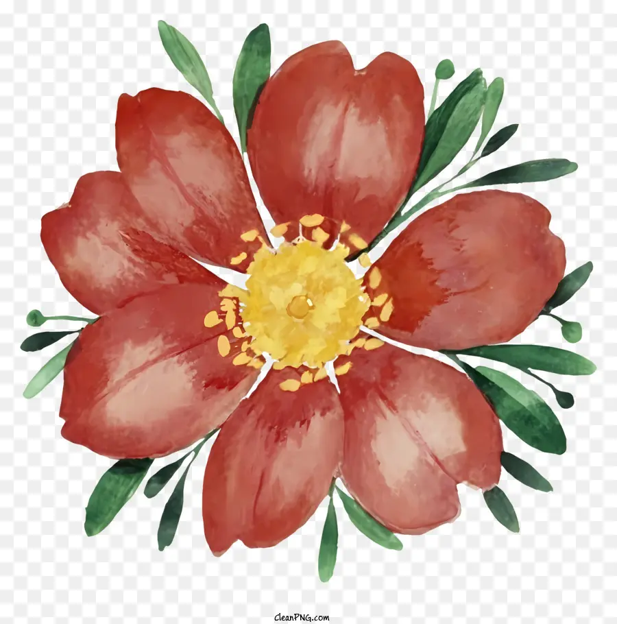 Pintura Em Aquarela，Flor Vermelha PNG