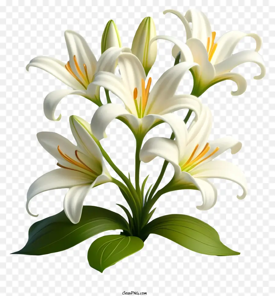 Lírios，Flores Brancas PNG