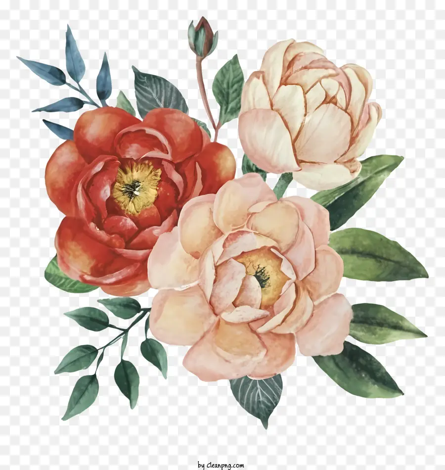 Pintura，Rosas PNG