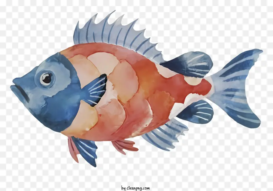 Pintura，Peixe PNG