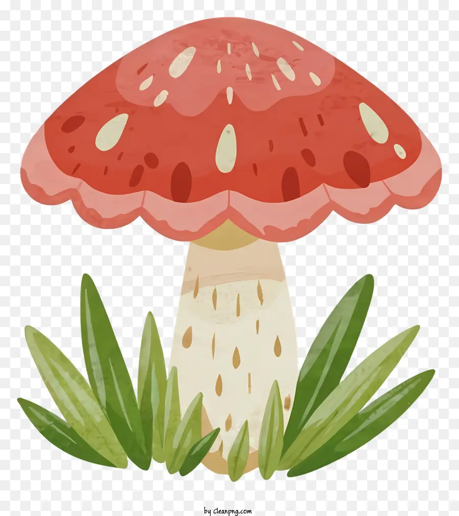 Toadstool，Cogumelo PNG
