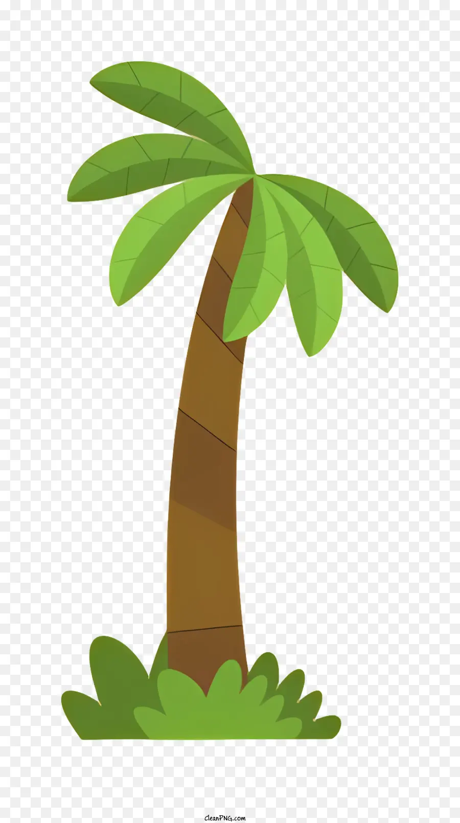 Palmeira，Folhas Verdes PNG