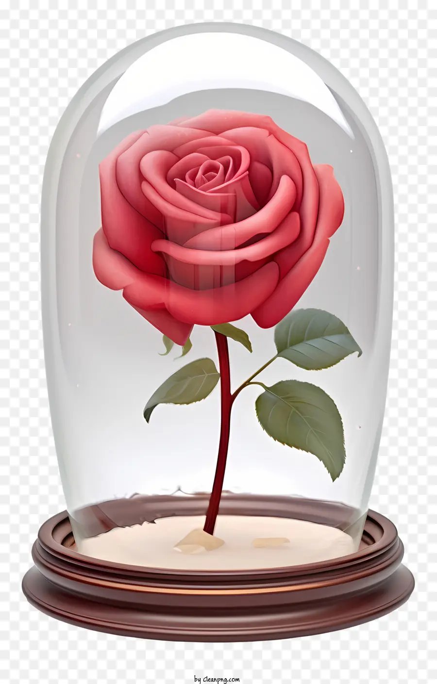 Rosa Vermelha，Cúpula De Vidro PNG