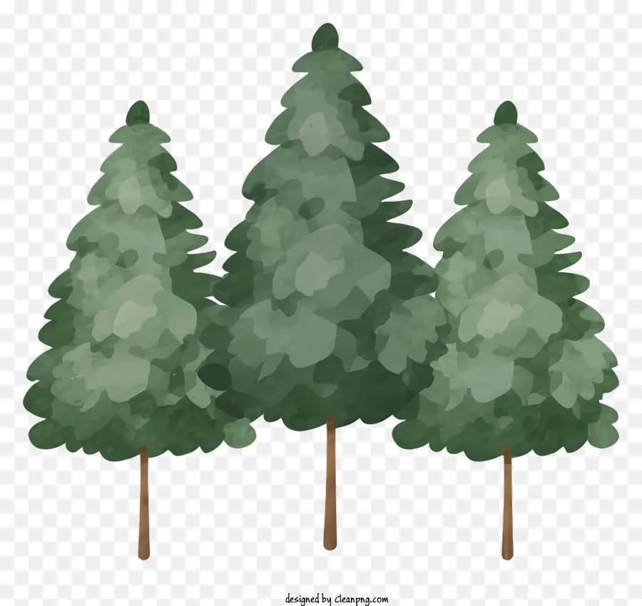 Pinheiros，árvores Altas PNG