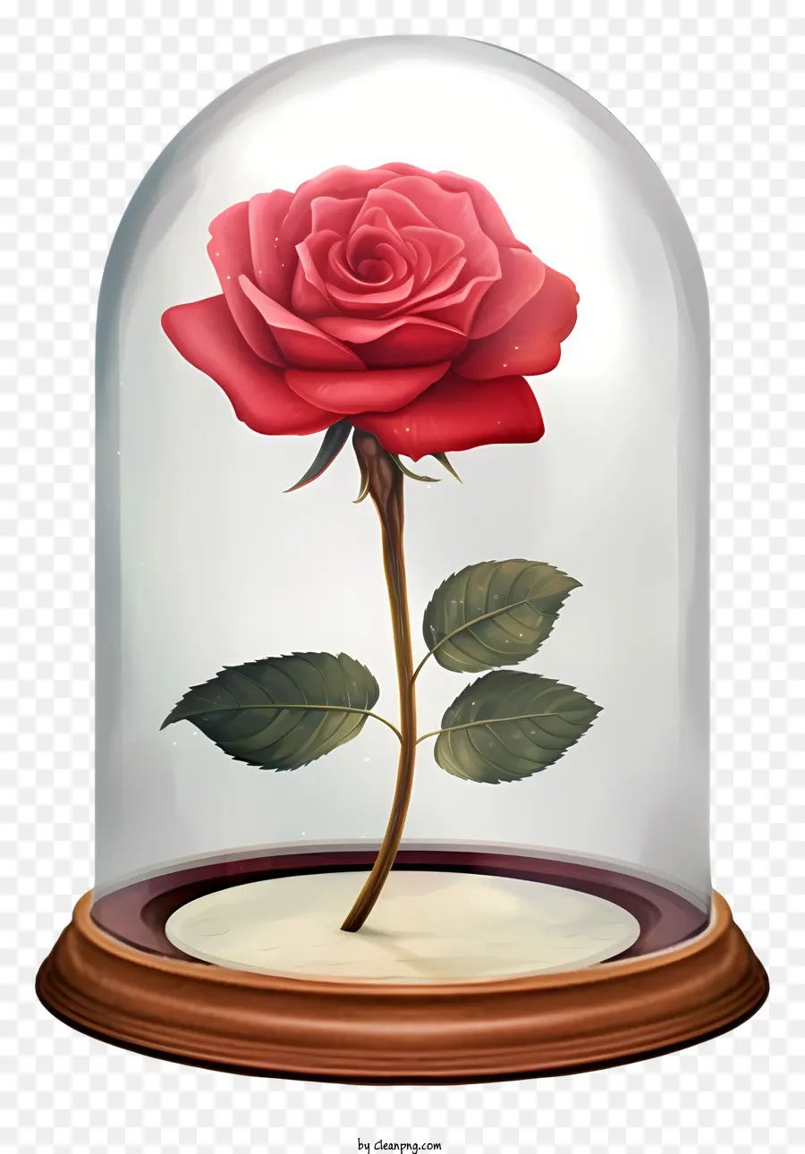 Rosa Vermelha，Cúpula De Vidro PNG