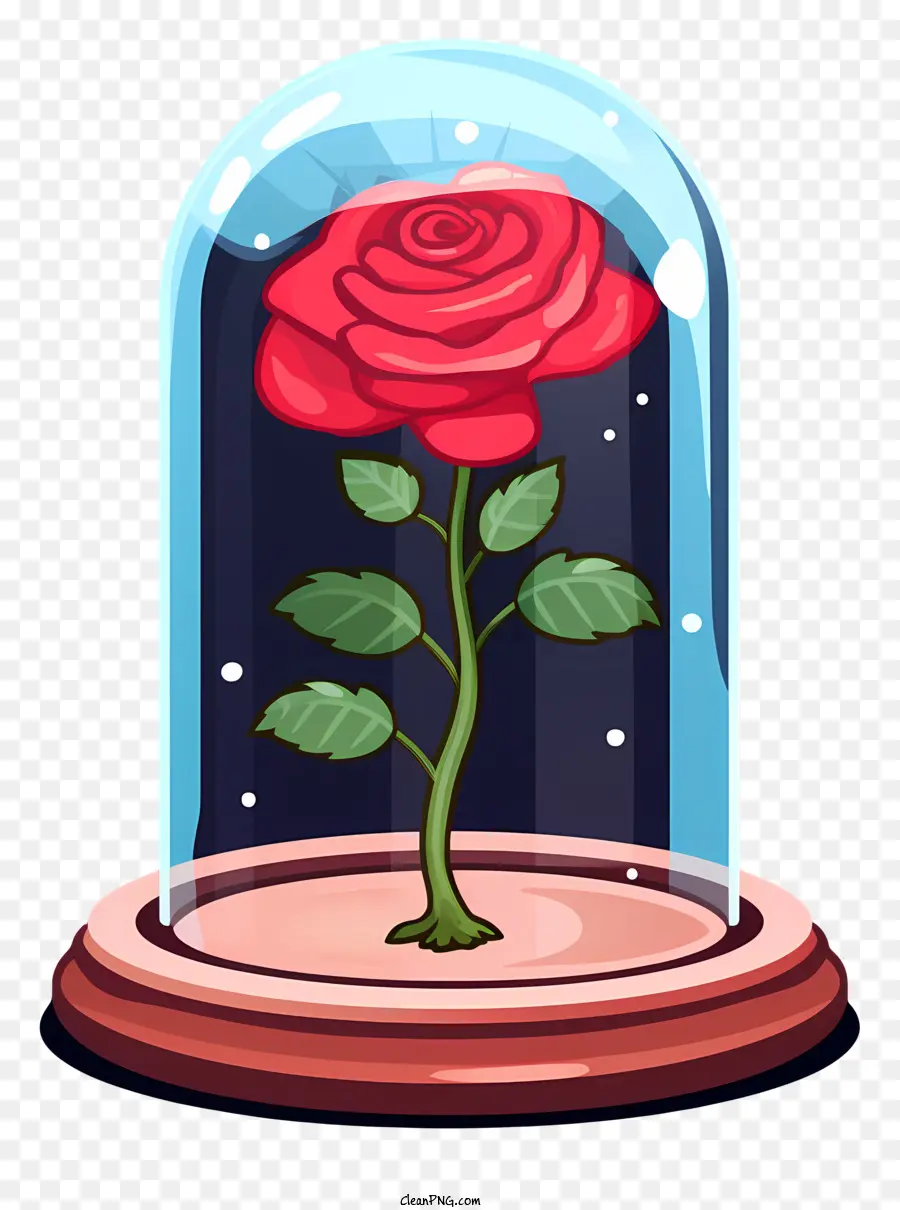 Cúpula De Vidro，Rosa Vermelha PNG