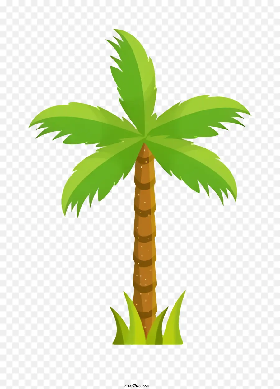 Palmeira，Paraíso Tropical PNG