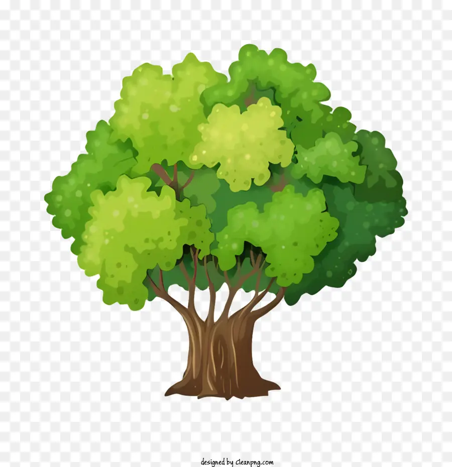 árvore，árvore Verde PNG