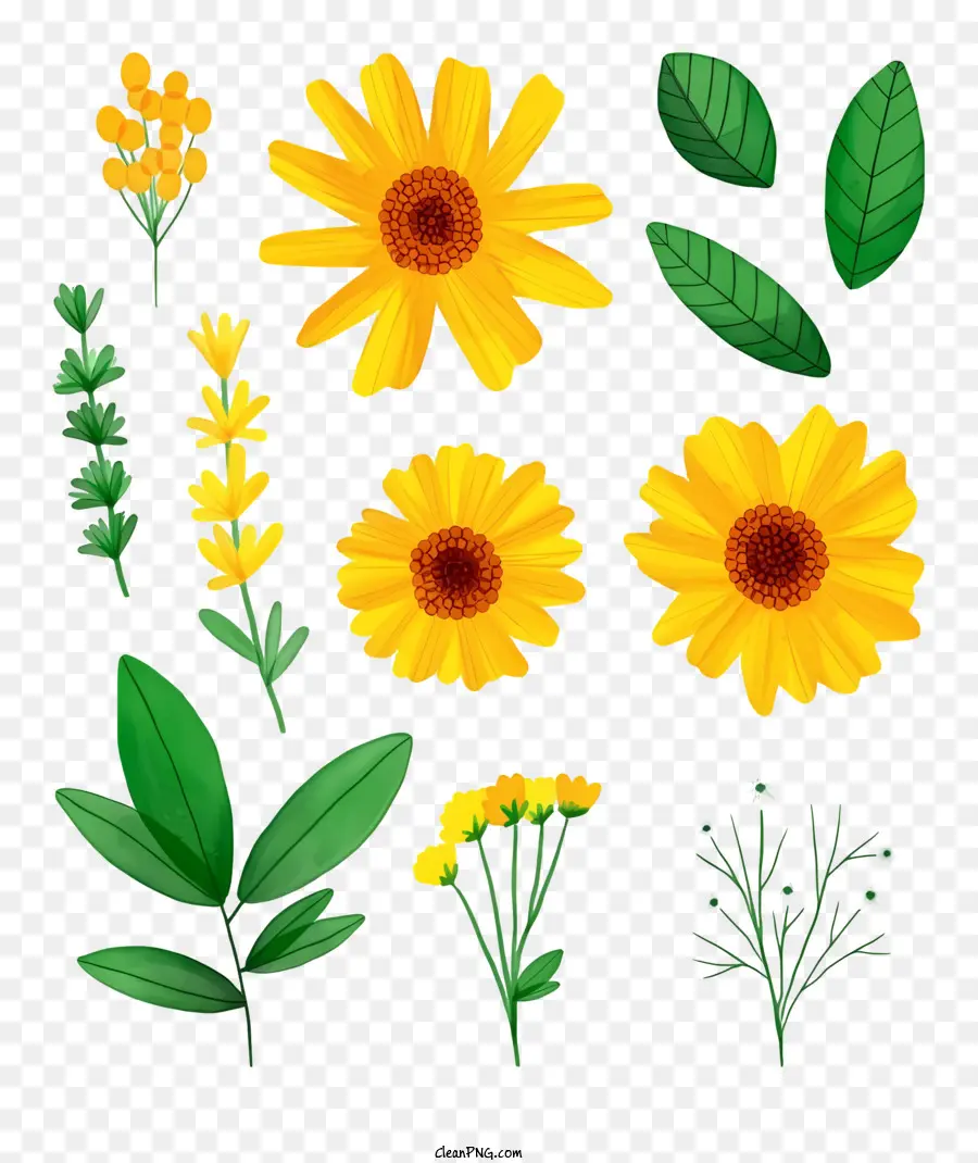Flores，Flores Amarelas PNG