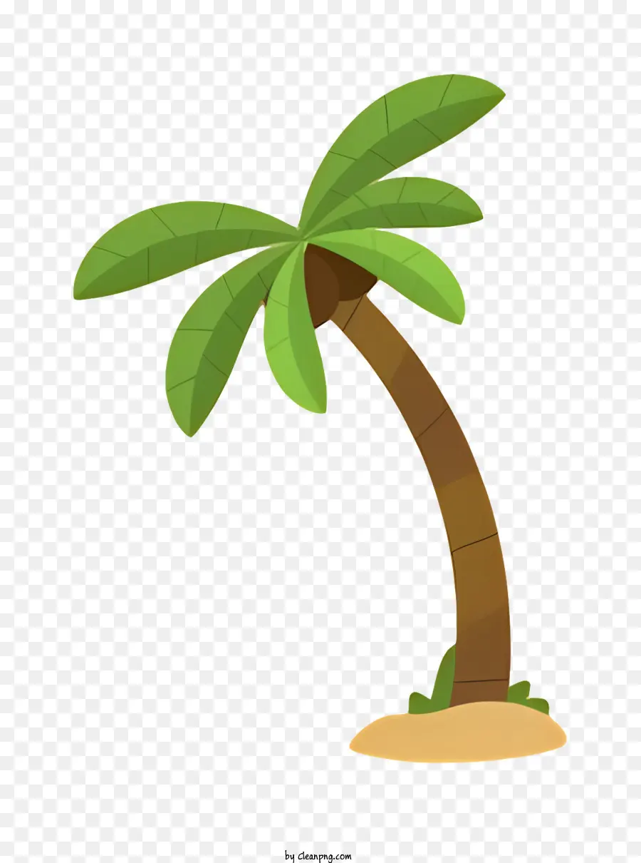 Palmeira，Casca De Coco PNG
