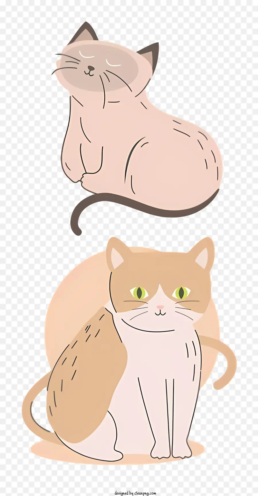 Gato Dos Desenhos Animados，Gato Bonito PNG