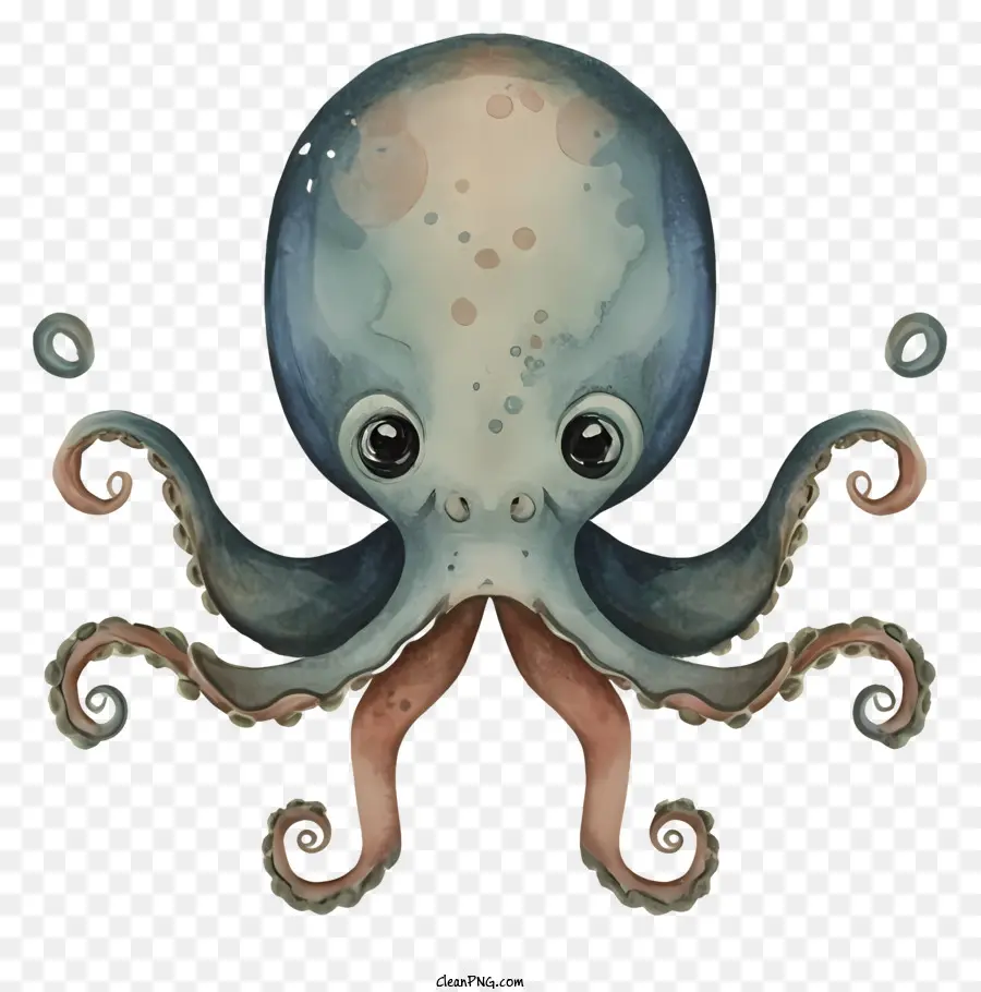 Ilustração De Octopus，Cartoon Polvo PNG