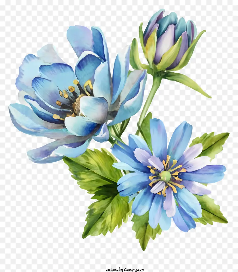 Flor Azul，Folhas Verdes PNG