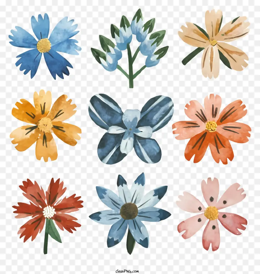 Aquarela Flores，Black Background PNG