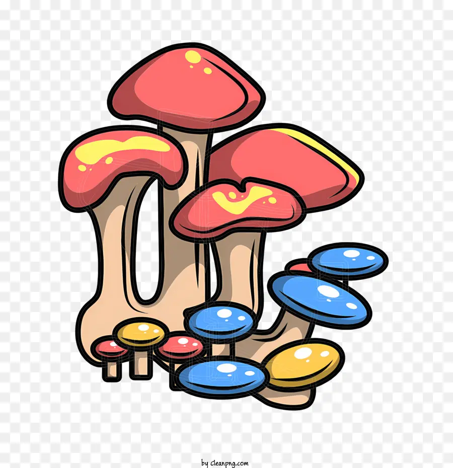 Cogumelos，Colorido Cogumelos PNG
