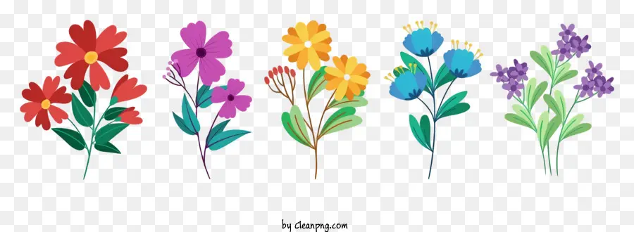 Flores Coloridas，Exibição Vibrante PNG