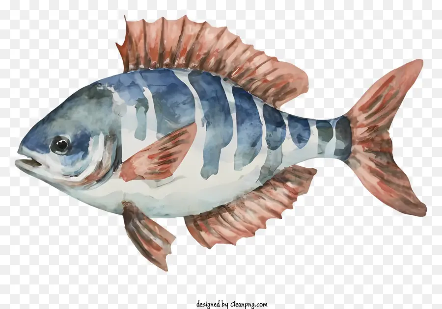 Pintura De Peixe，Peixe PNG