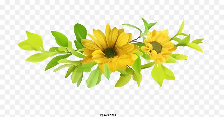 Fotografia De Flores，Girassóis PNG