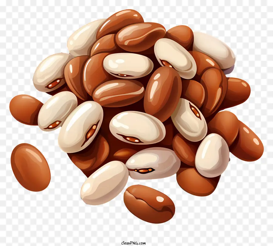 Beans，Leguminosas PNG