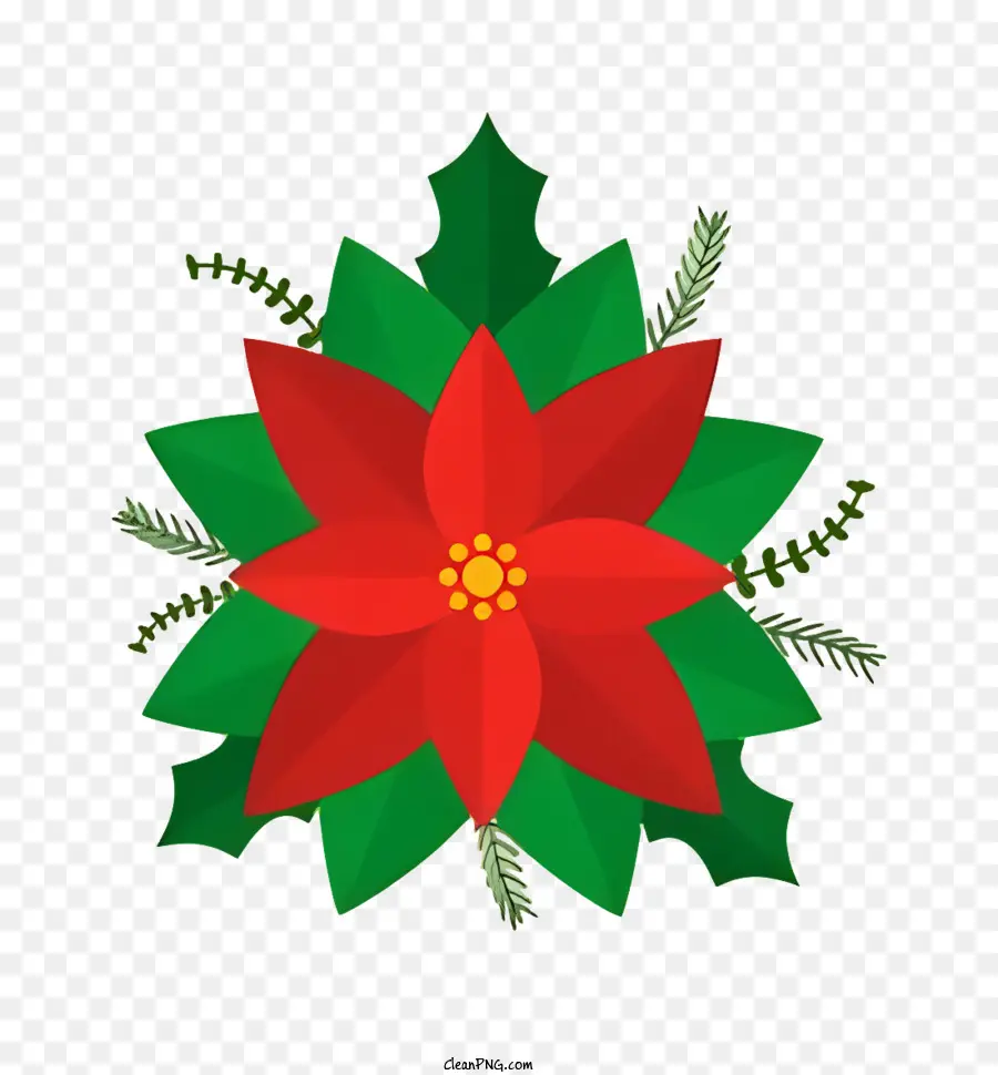 Poinsettia，Flor Vermelha PNG