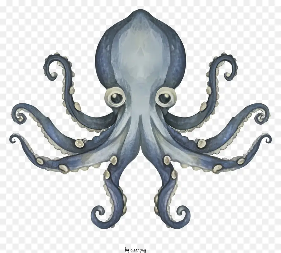 Polvo Pintura，Abstract Octopus Art PNG