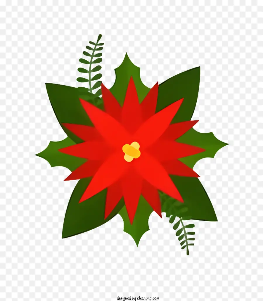 Flor Vermelha Da Poinsettia，Folhas Verdes PNG