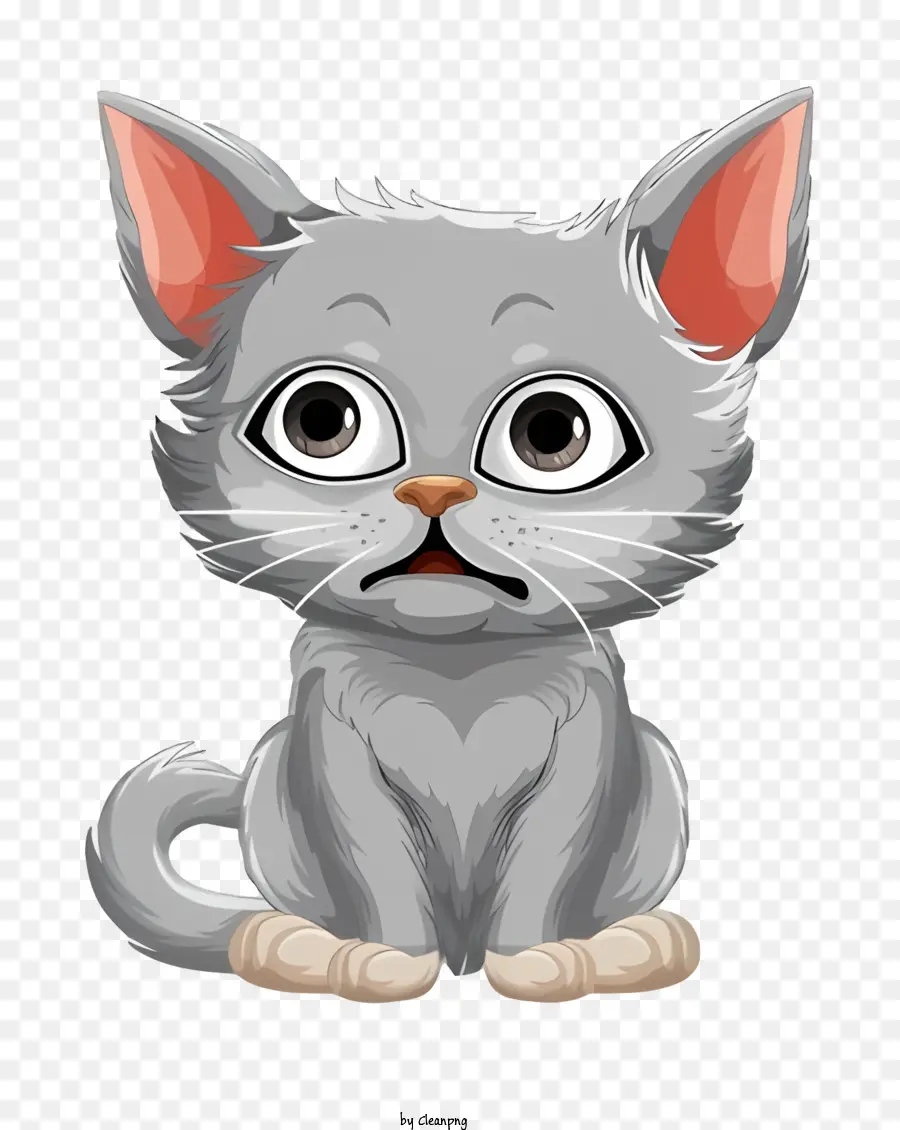 Gatinho，Gato Fofo PNG