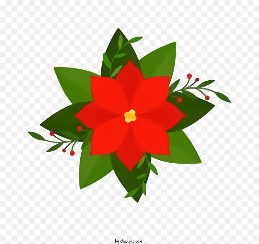 Poinsettia，Decoração De Natal PNG