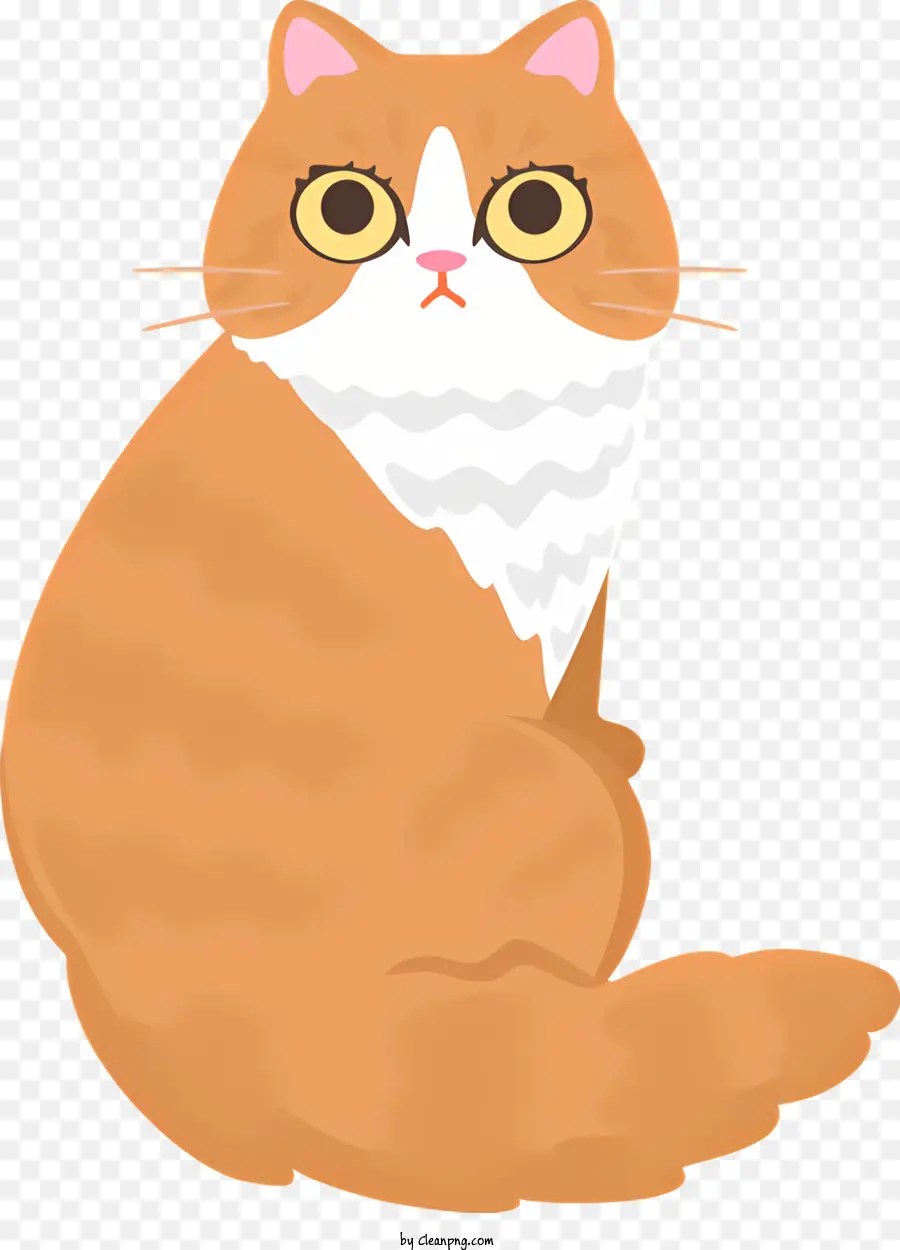 Gato Laranja E Branco，Expressão Triste Gato PNG