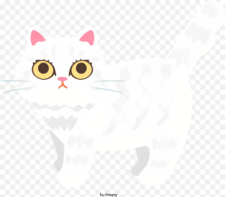 Gato Branco，Olhos Castanhos PNG