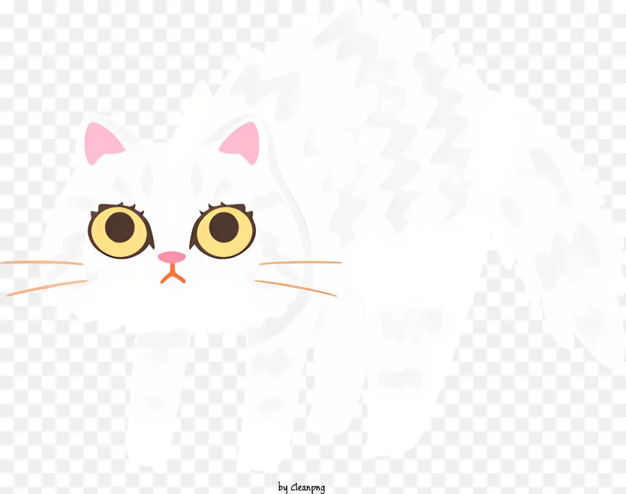 Gato Branco，Grandes Olhos Redondos PNG