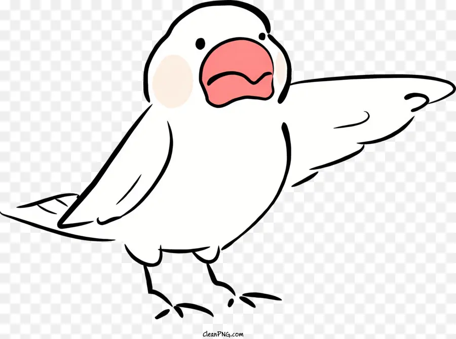 Aves，Pássaro Branco PNG