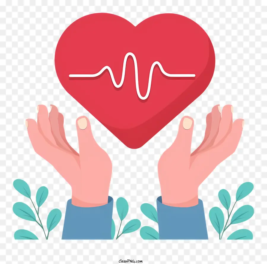 Coração Humano，Batimento Cardíaco Normal PNG