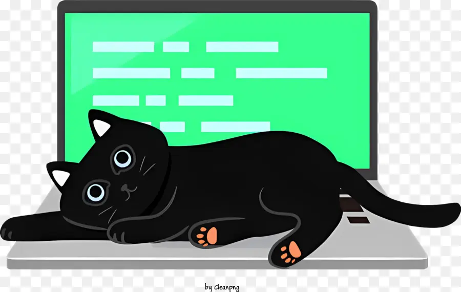 Gato Preto，Laptop PNG