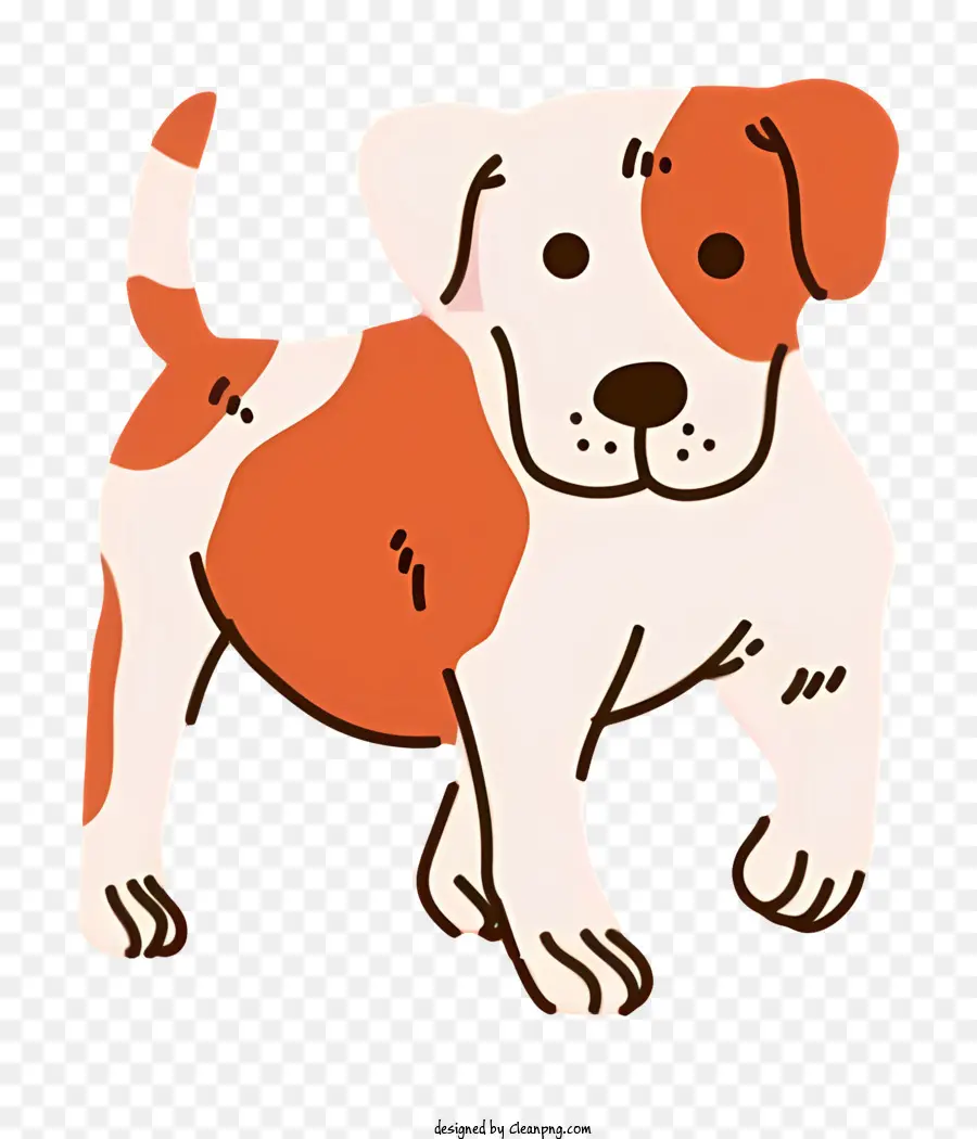 Cão Bonito，Cachorro Laranja E Branco PNG