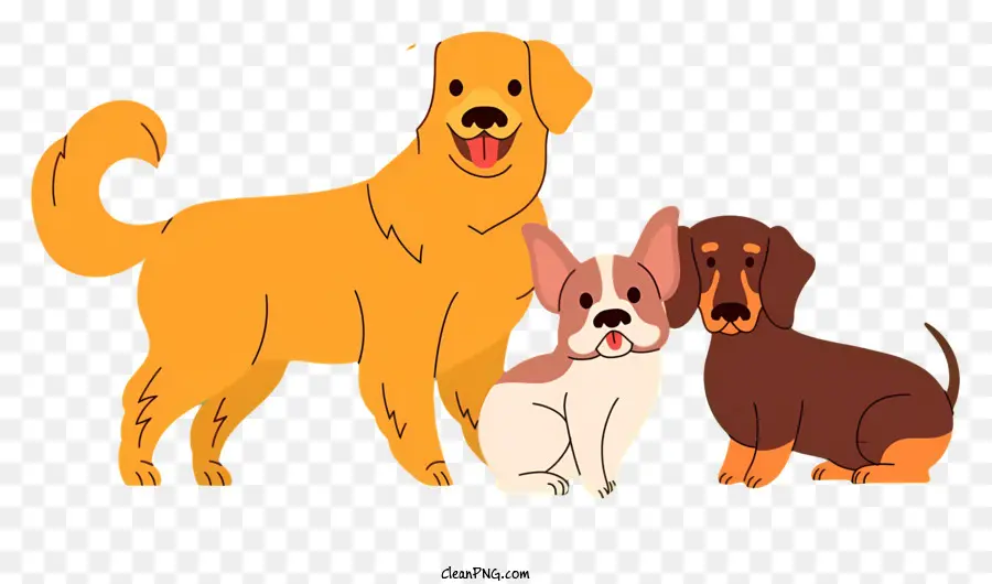 Cães，Cães Marrons PNG