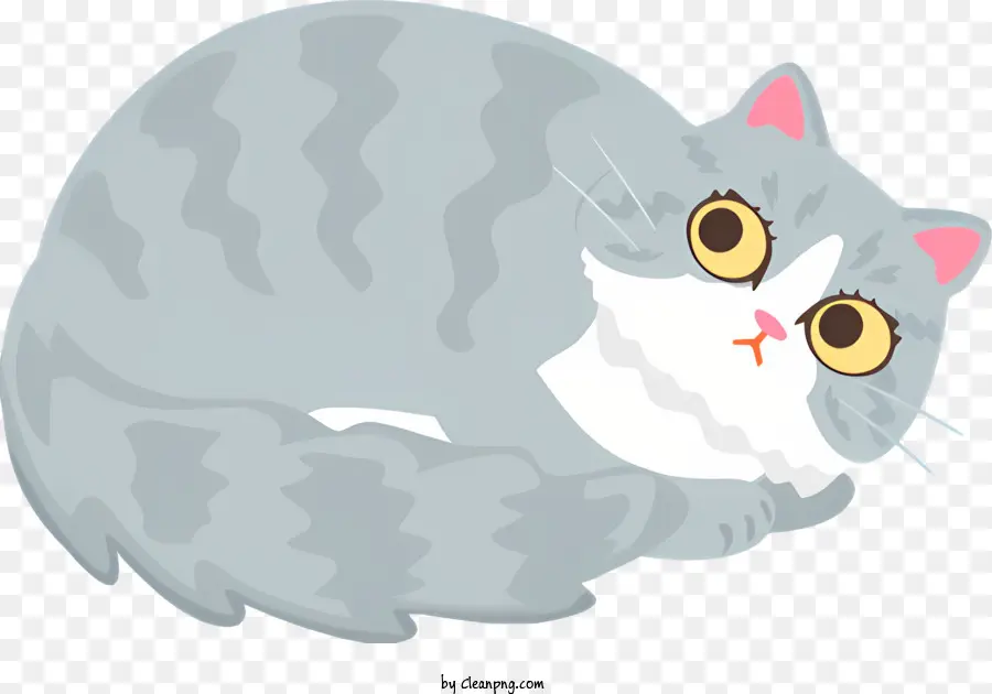 Gato Dos Desenhos Animados，Gray Cat PNG