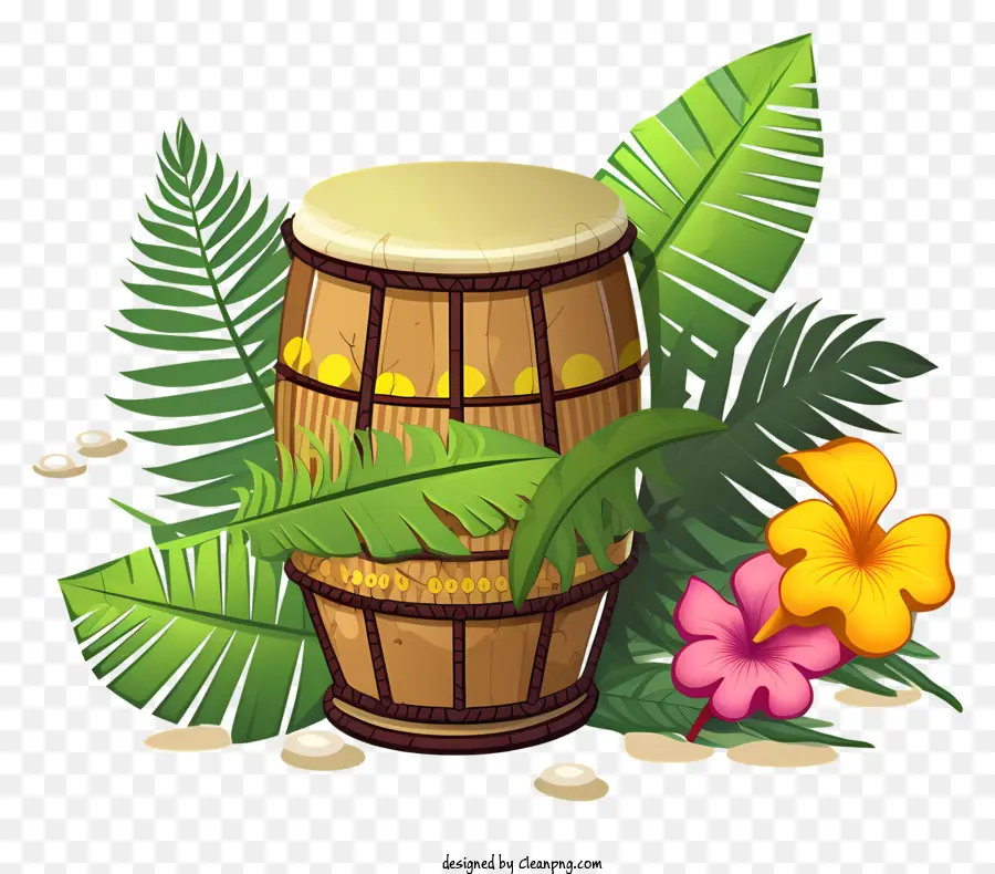 Drum De Percussão，Plantas Tropicais PNG