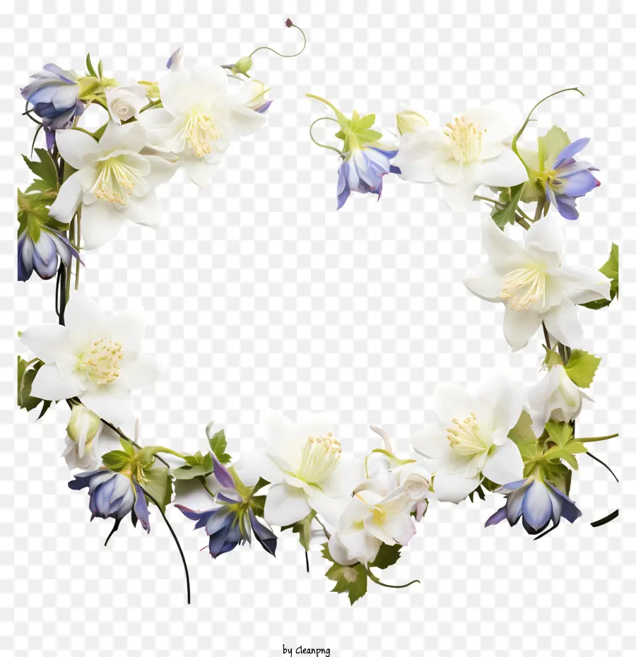 Flower Frame，Flor Branca PNG