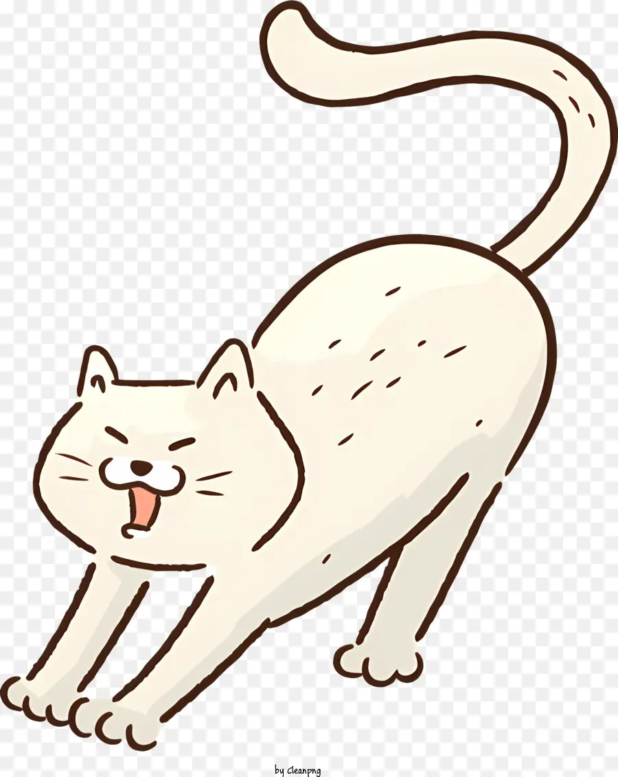 Gato Branco，Lambendo Gato PNG