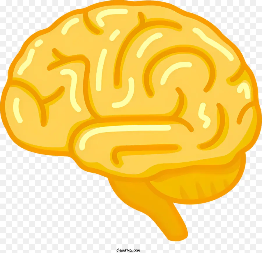Cérebro Humano，Cérebro Do Estilo De Desenho Animado PNG