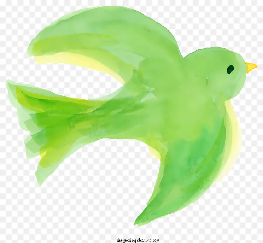 Pássaro Aquarela，Pássaro Verde PNG