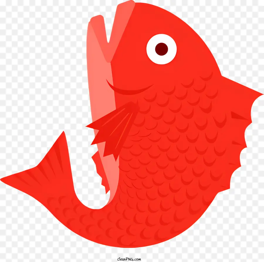 Peixe Vermelho，Peixe PNG