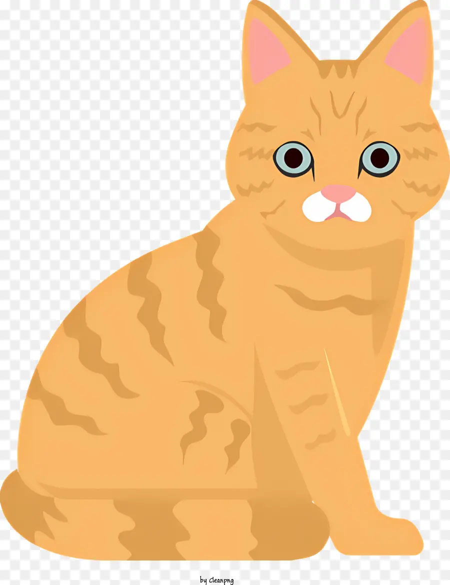 Gato Laranja，Cara Grande PNG