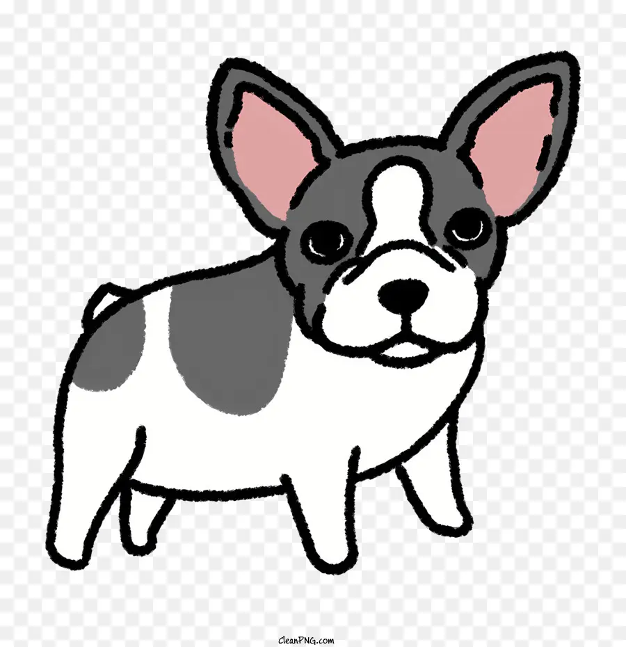 Bulldog Francês，Cartoon PNG