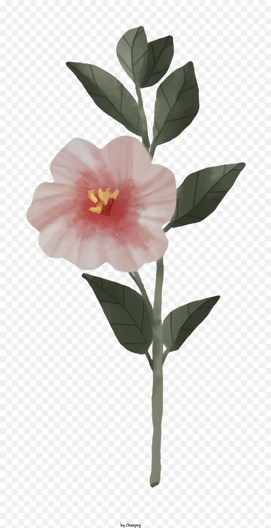 Flor Rosa，Flor única PNG