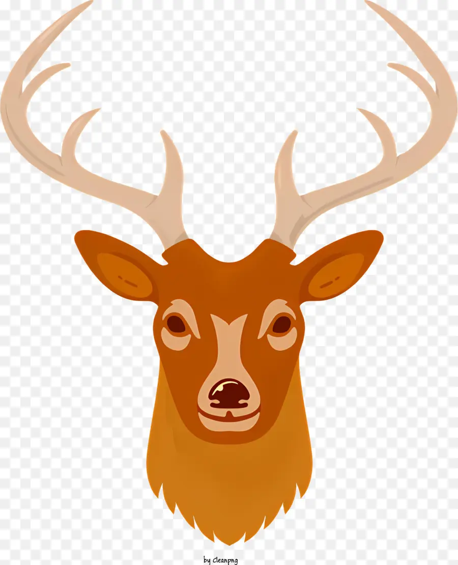 Deer，Os Chifres De PNG