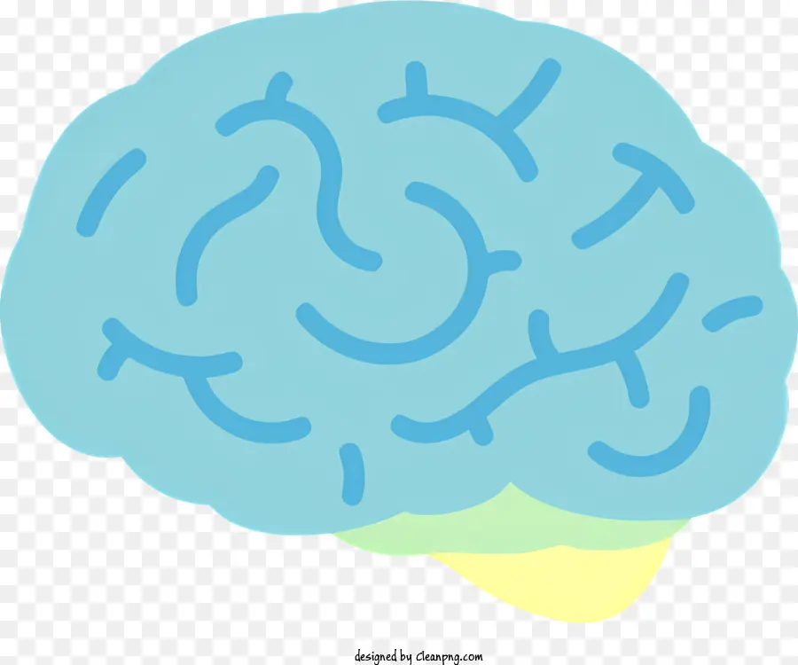 Cérebro Humano，Renderização Em 3d PNG
