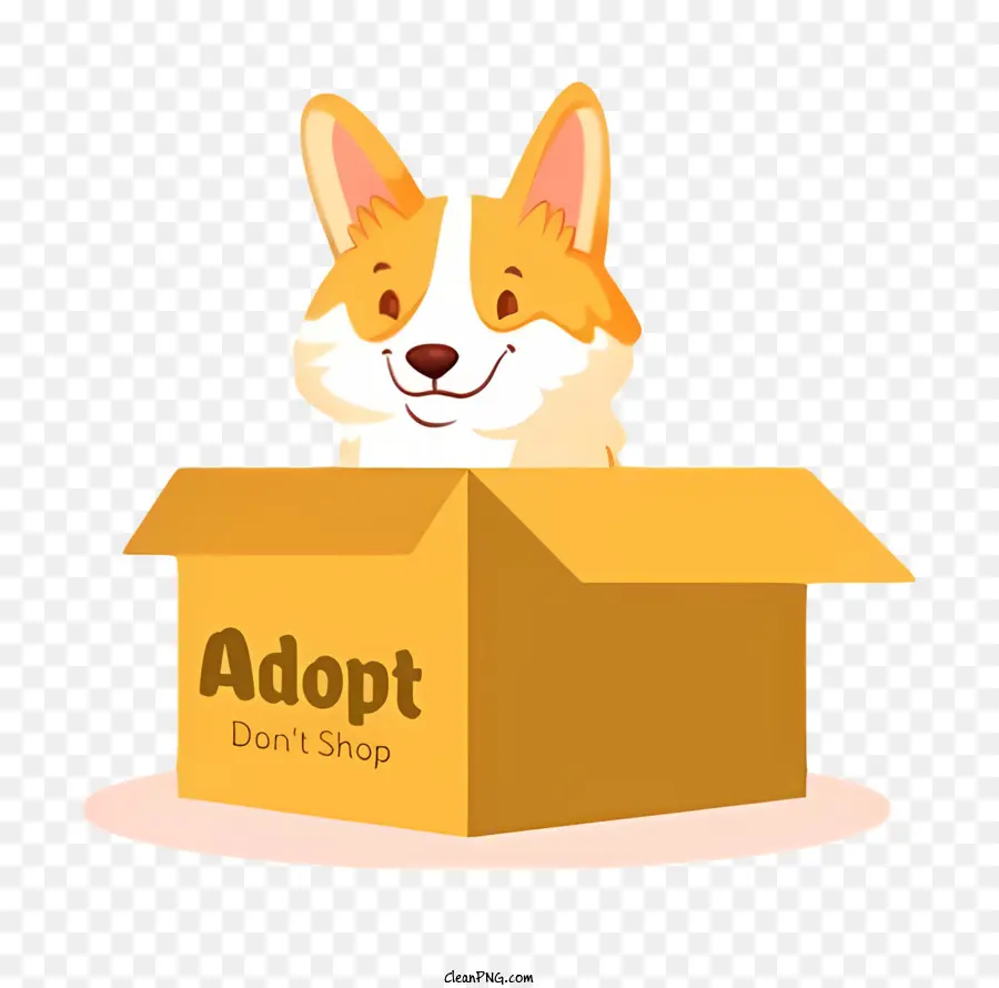 O Cão Corgi，Cardboard Box PNG